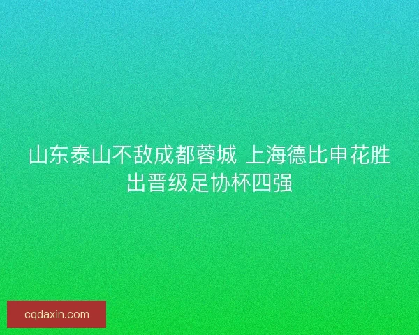 山东泰山不敌成都蓉城 上海德比申花胜出晋级足协杯四强